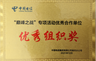 巅峰之战，优秀组织奖