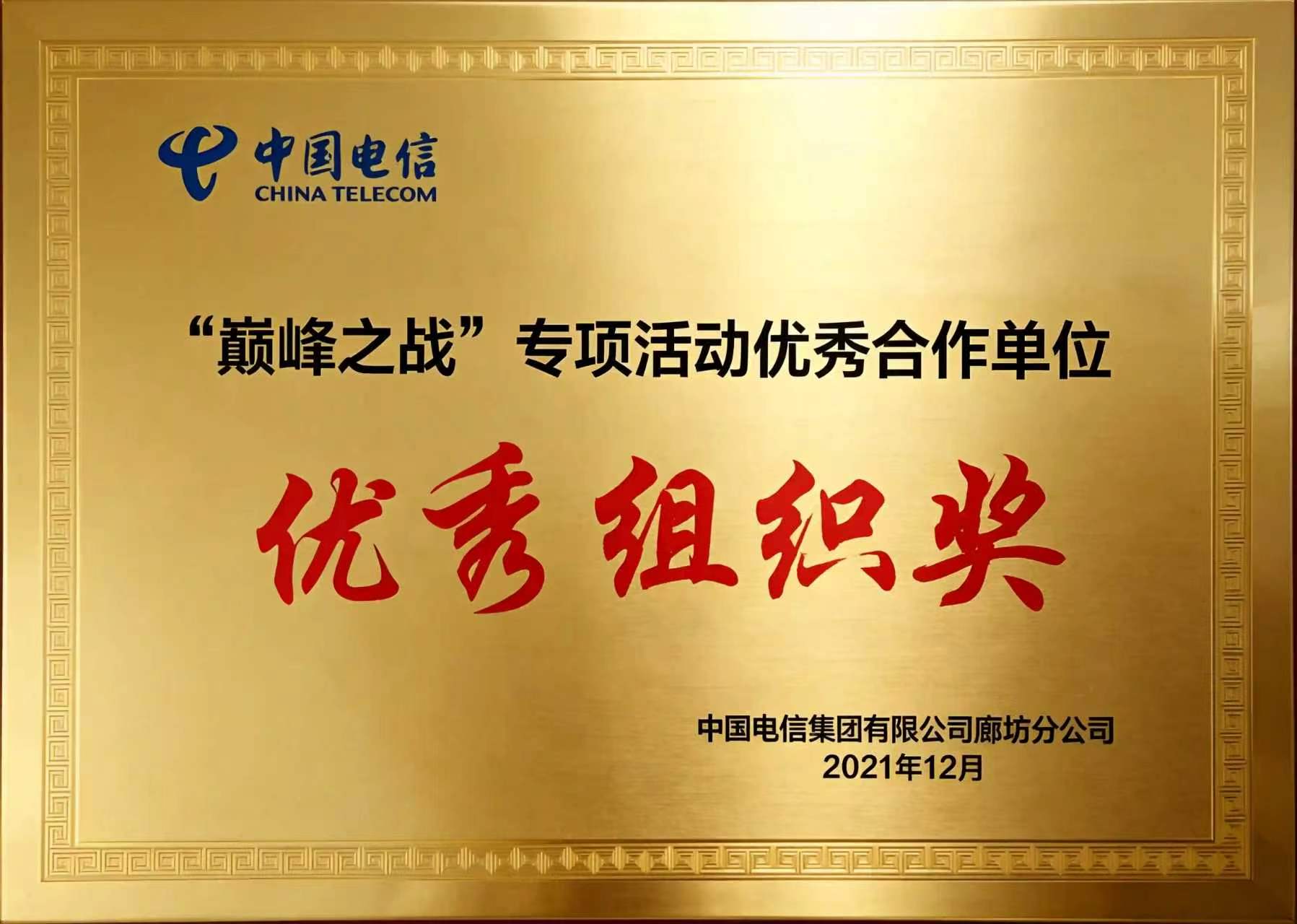 巅峰之战，优秀组织奖